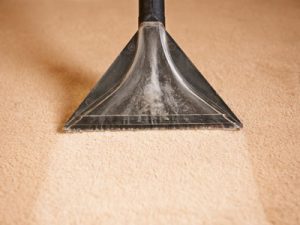 carpet cleaners ipswich area
